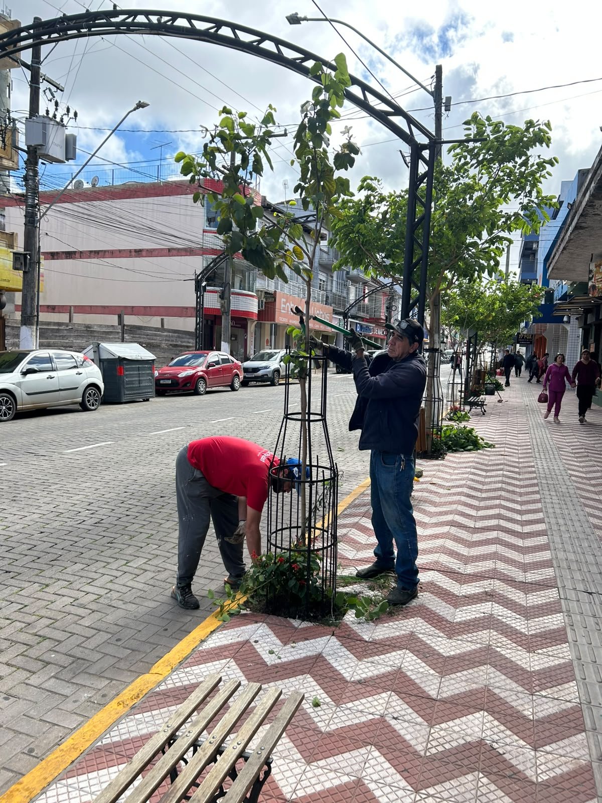 Prefeitura de Rio Pardo realiza manutenção de árvores e canteiros de flores no Centro da cidade